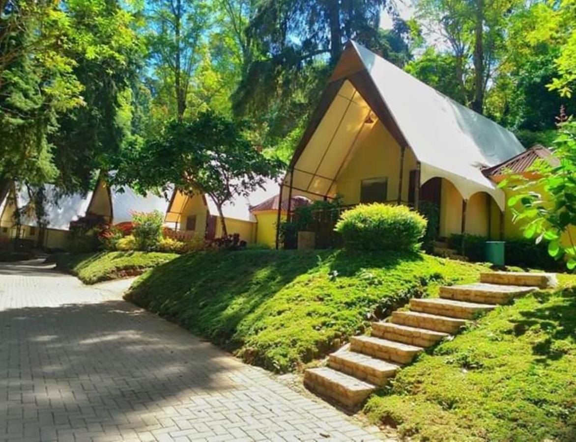 Lawu Forest Camp Саранган Экстерьер фото